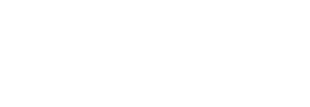 amey-seeklogo